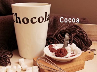 cacao vs cocoa 2