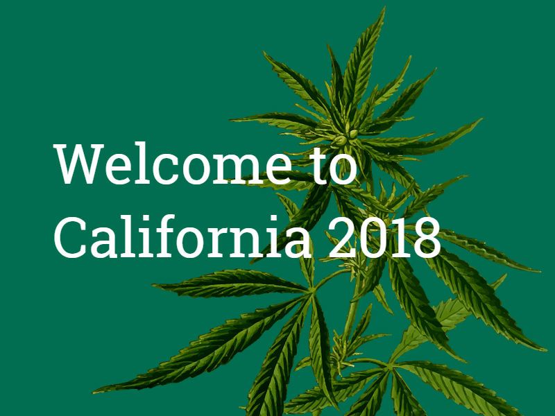 Where to Buy Legal Recreational Cannabis in 2018 in California