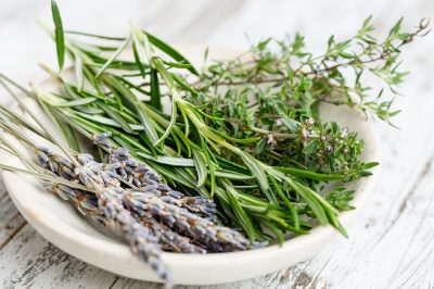 Terpenes - Craft Sense
