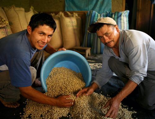 How Pachamama Coffee is Turning the Coffee World on Its Head